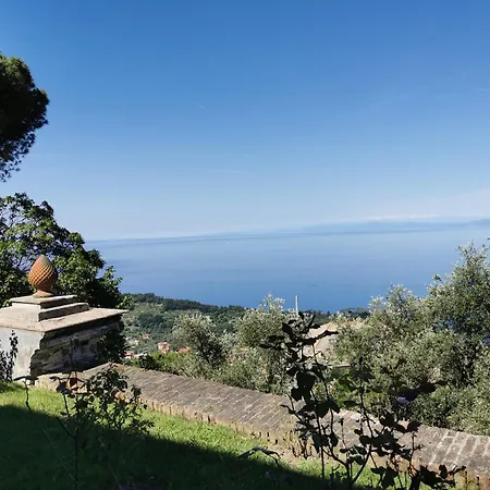 Hill Genoa Camogli